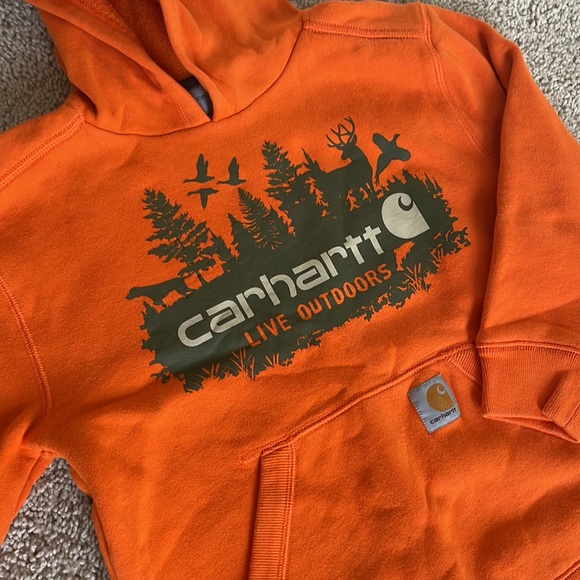 Carhartt Hoddie - Picture 2 of 3